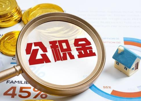 鹤岗2025年政策调整对个人影响综合解析‌